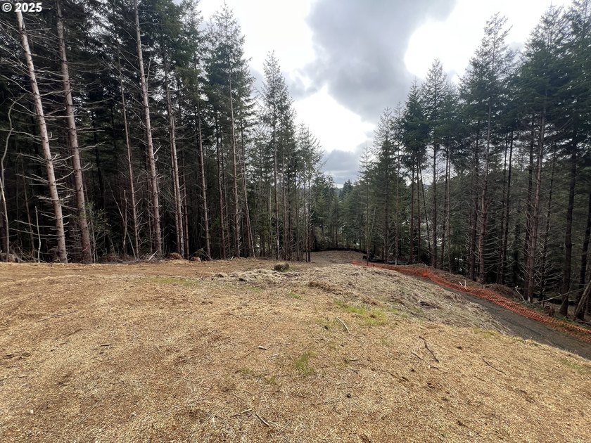 Prime 7.74-Acre Development Opportunity - Ideal for Investors! - photo 17