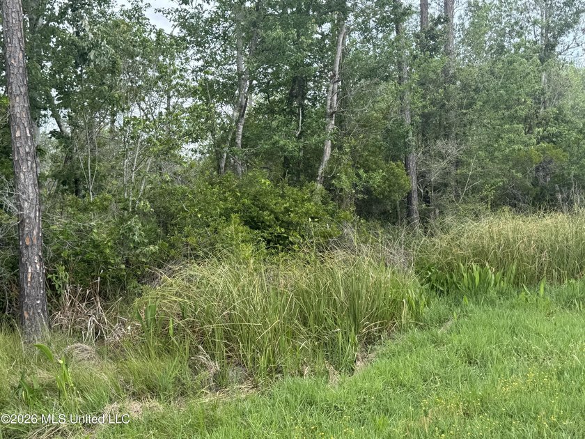 This property is right off the river and in a beautiful spot - photo 8
