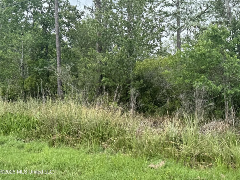 This property is right off the river and in a beautiful spot - photo 9