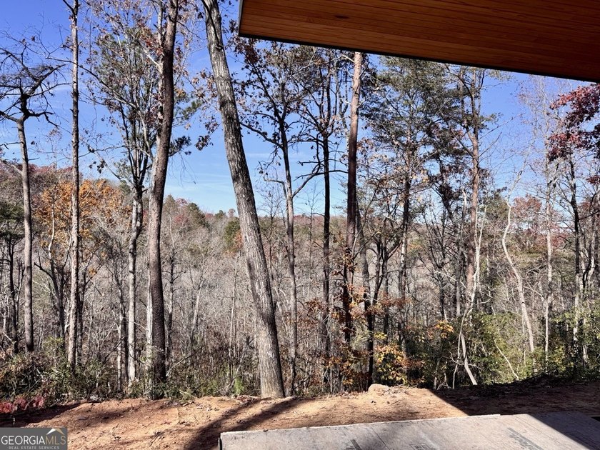 Ellijay, GA Cabin Resort Development on 60 Acres | North Georgia - photo 22