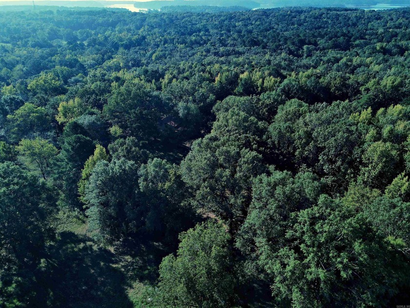 CLOSE TO LAKE DEGRAY! Nice wooded acreage off Hwy 7. Just a hop - photo 3