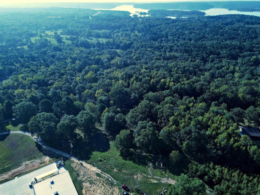 CLOSE TO LAKE DEGRAY! Nice wooded acreage off Hwy 7. Just a hop - photo 5