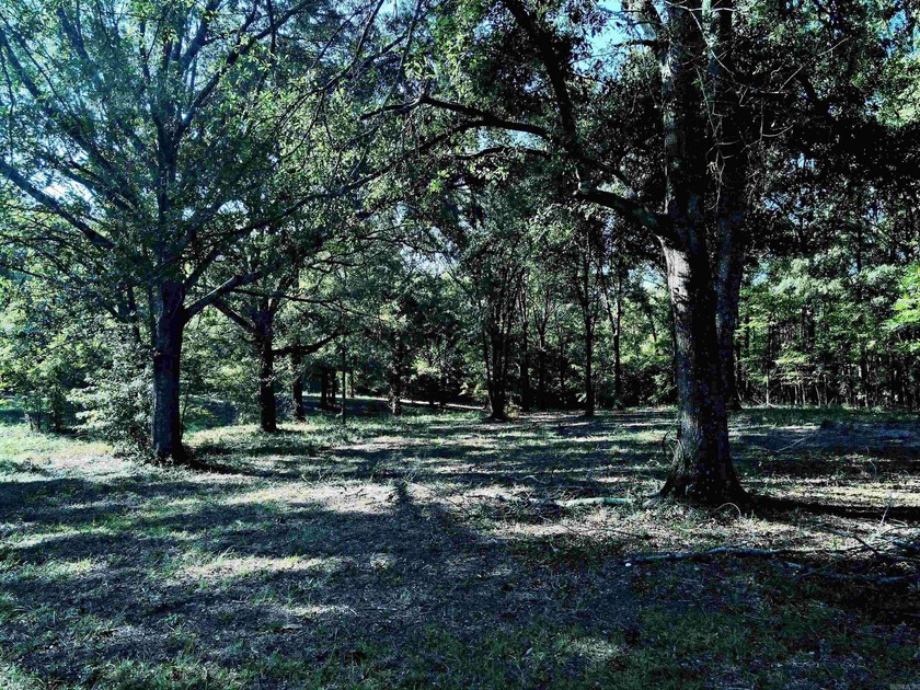 CLOSE TO LAKE DEGRAY! Nice wooded acreage off Hwy 7. Just a hop - photo 9