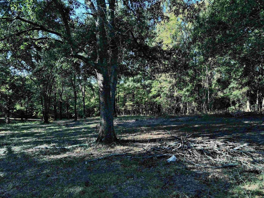 CLOSE TO LAKE DEGRAY! Nice wooded acreage off Hwy 7. Just a hop - photo 10
