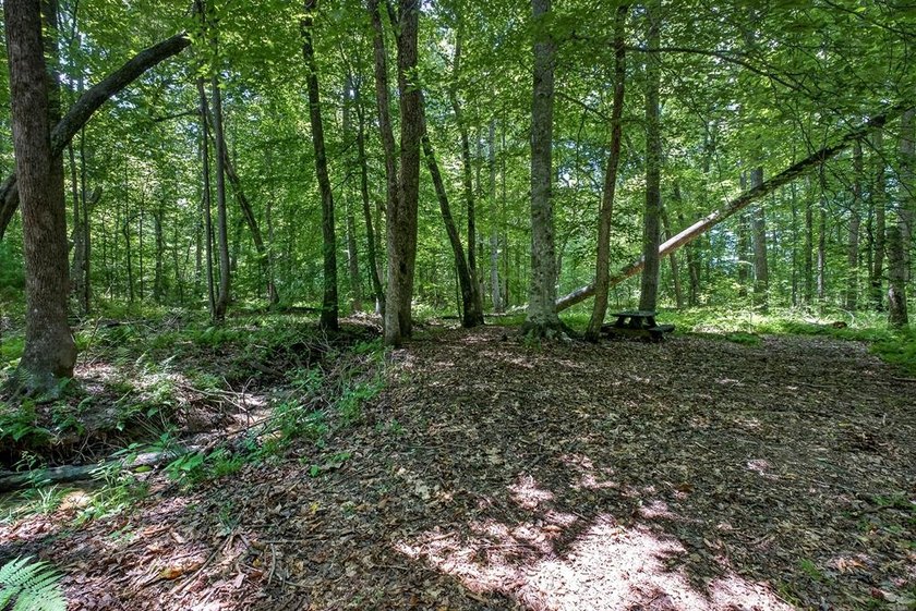 Custom-built 3BR/2BA on 12 wooded acres off Old Bon Air Rd - the - photo 50