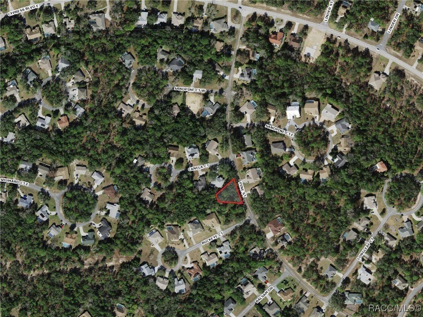 Explore this exceptional 0.25-acre estate lot in the highly - photo 3