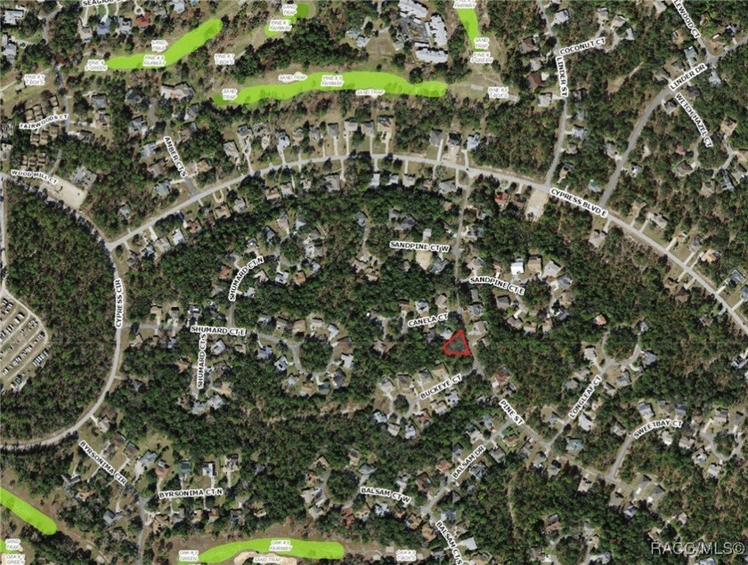 Explore this exceptional 0.25-acre estate lot in the highly - photo 4