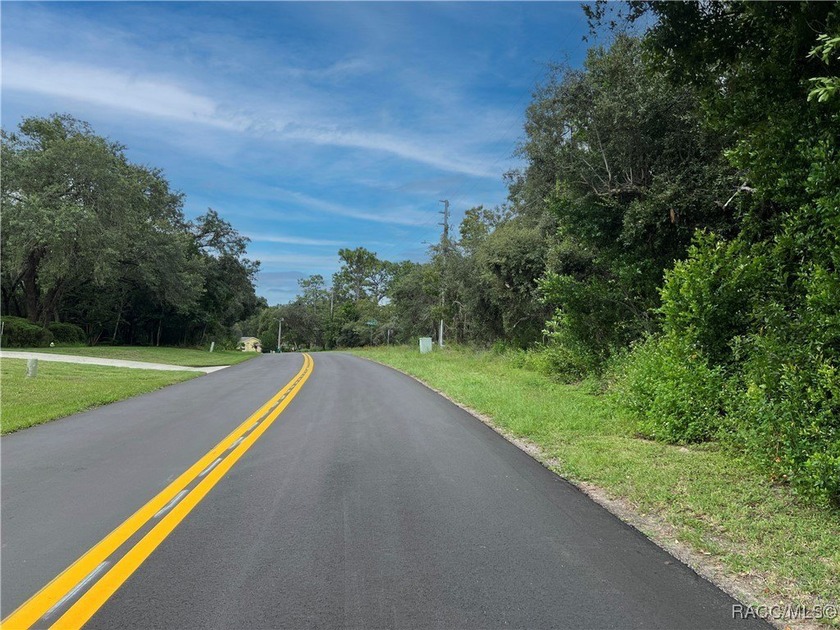 Explore this exceptional 0.25-acre estate lot in the highly - photo 5