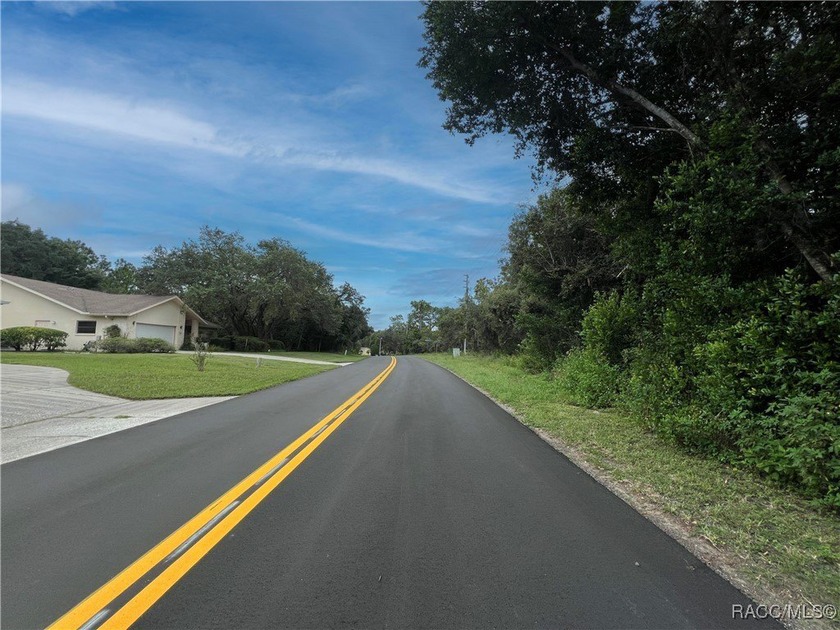 Explore this exceptional 0.25-acre estate lot in the highly - photo 7
