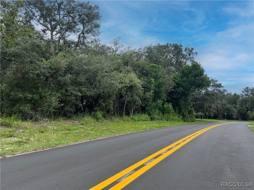 Explore this exceptional 0.25-acre estate lot in the highly - photo 9