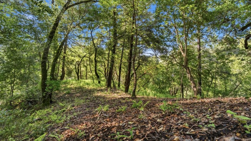 Tucked away in the peaceful redwoods of Boulder Creek, 360 - photo 12