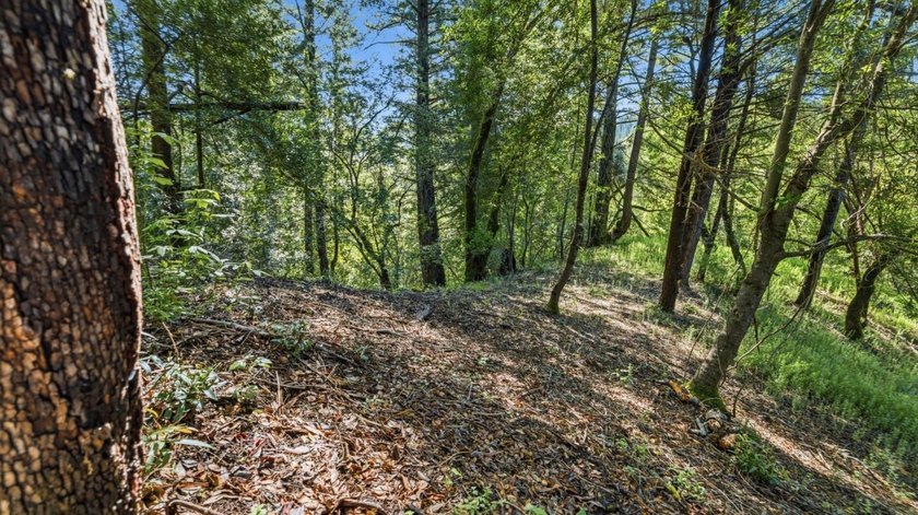 Tucked away in the peaceful redwoods of Boulder Creek, 360 - photo 13