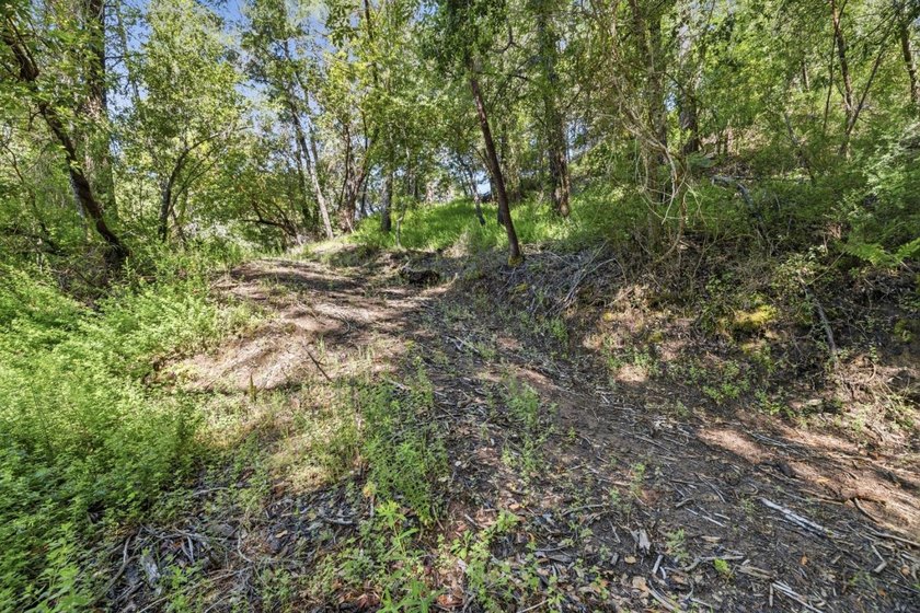 Tucked away in the peaceful redwoods of Boulder Creek, 360 - photo 14