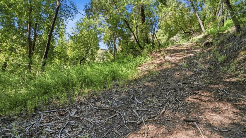 Tucked away in the peaceful redwoods of Boulder Creek, 360 - photo 18