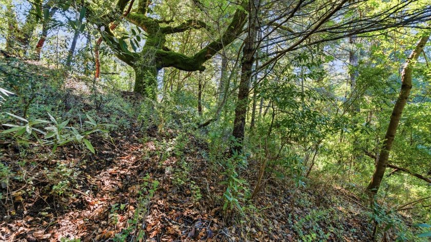 Tucked away in the peaceful redwoods of Boulder Creek, 360 - photo 26