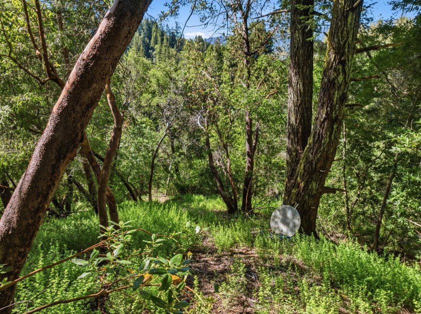 Tucked away in the peaceful redwoods of Boulder Creek, 360 - photo 28
