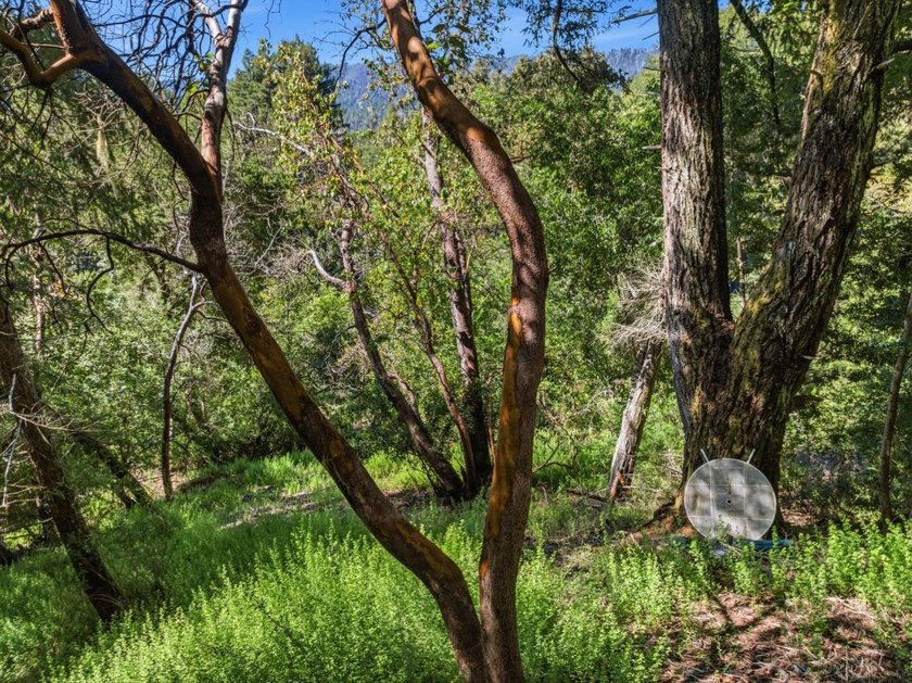 Tucked away in the peaceful redwoods of Boulder Creek, 360 - photo 30