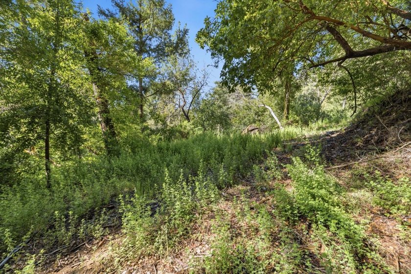 Tucked away in the peaceful redwoods of Boulder Creek, 360 - photo 31