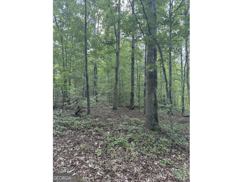 44.33 acres with approximately 1,780 feet of road frontage - photo 2