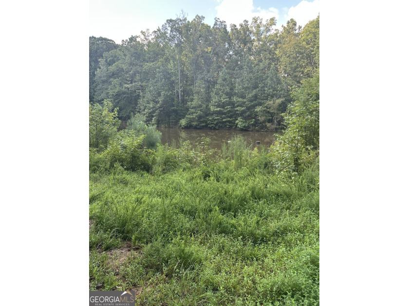 44.33 acres with approximately 1,780 feet of road frontage - photo 3