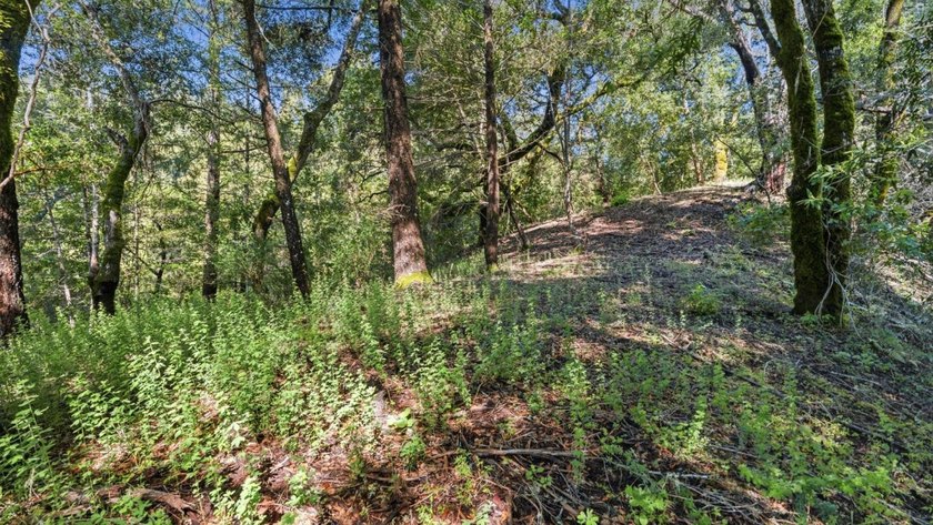 Tucked away in the peaceful redwoods of Boulder Creek, 360 - photo 33