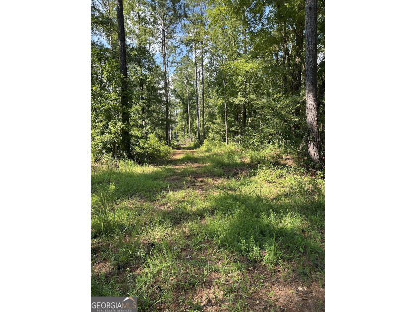 44.33 acres with approximately 1,780 feet of road frontage - photo 4
