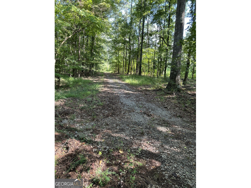44.33 acres with approximately 1,780 feet of road frontage - photo 5