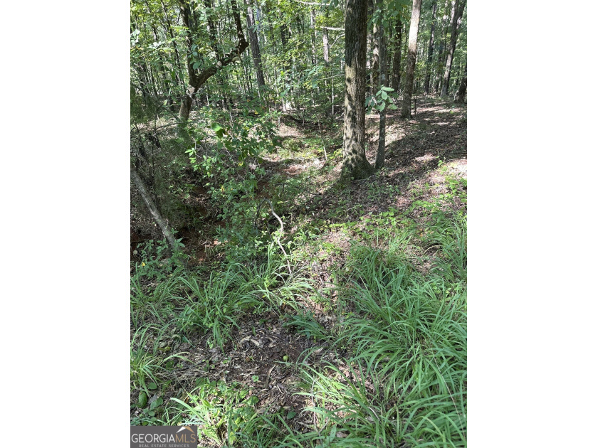 44.33 acres with approximately 1,780 feet of road frontage - photo 6