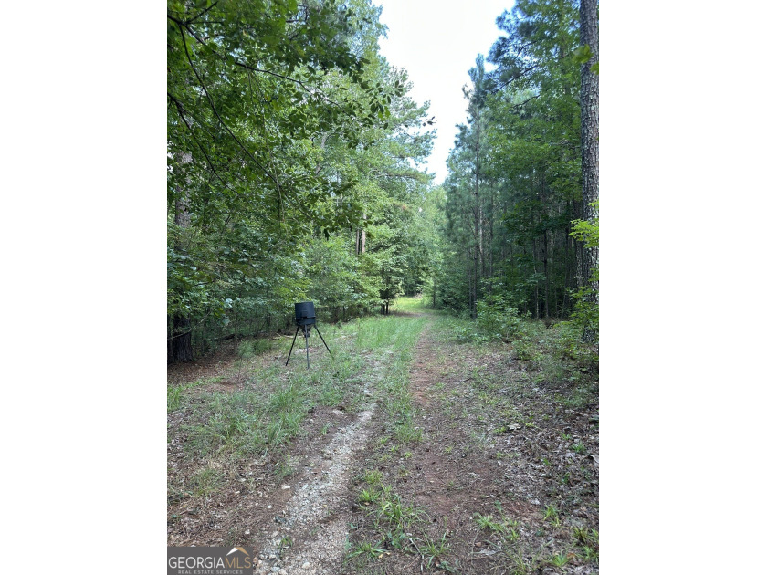 44.33 acres with approximately 1,780 feet of road frontage - photo 7