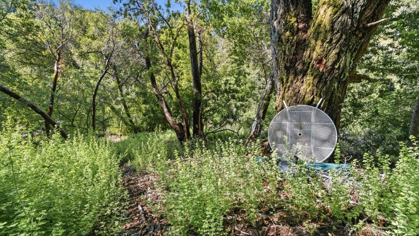 Tucked away in the peaceful redwoods of Boulder Creek, 360 - photo 37