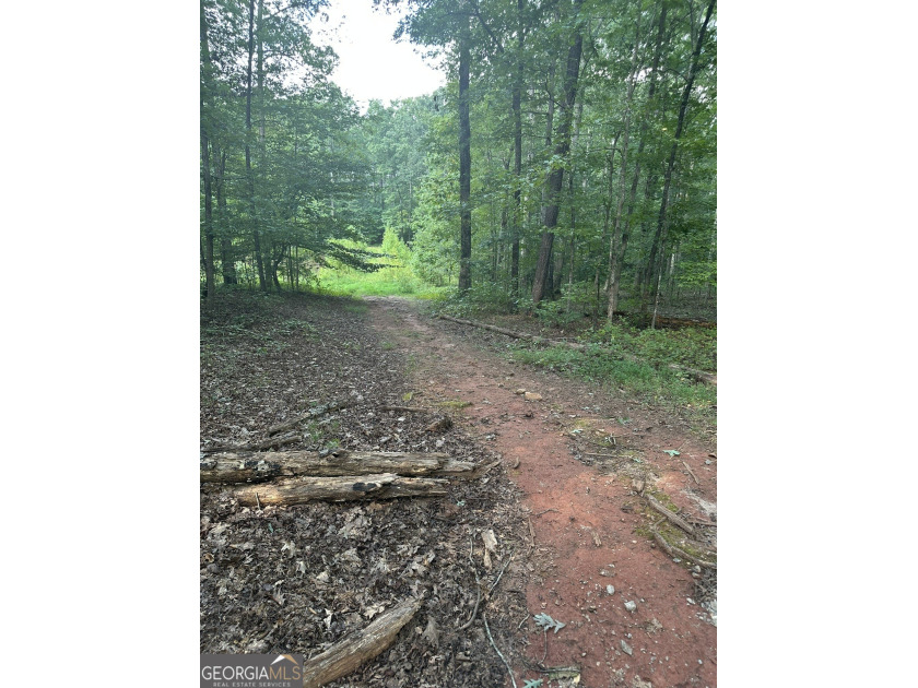 44.33 acres with approximately 1,780 feet of road frontage - photo 8