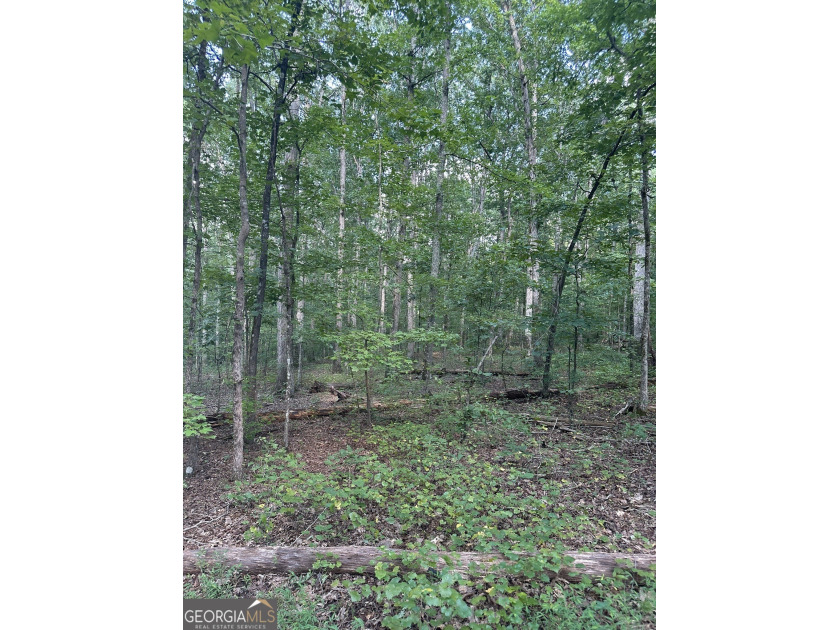 44.33 acres with approximately 1,780 feet of road frontage - photo 9