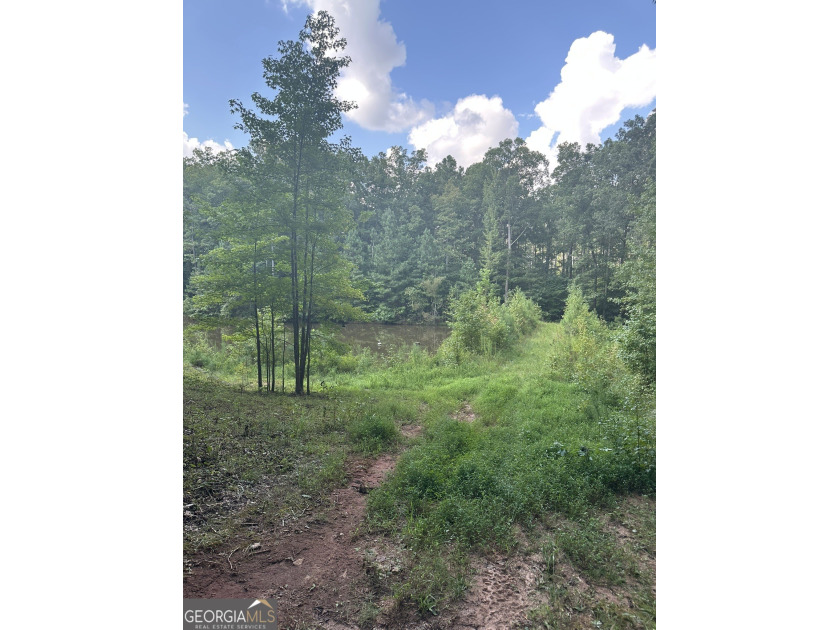 44.33 acres with approximately 1,780 feet of road frontage - photo 10