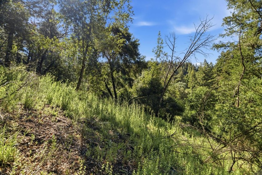 Tucked away in the peaceful redwoods of Boulder Creek, 360 - photo 40