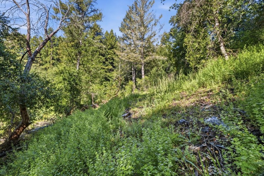 Tucked away in the peaceful redwoods of Boulder Creek, 360 - photo 41