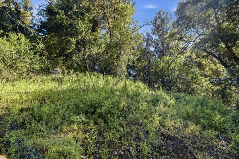 Tucked away in the peaceful redwoods of Boulder Creek, 360 - photo 42