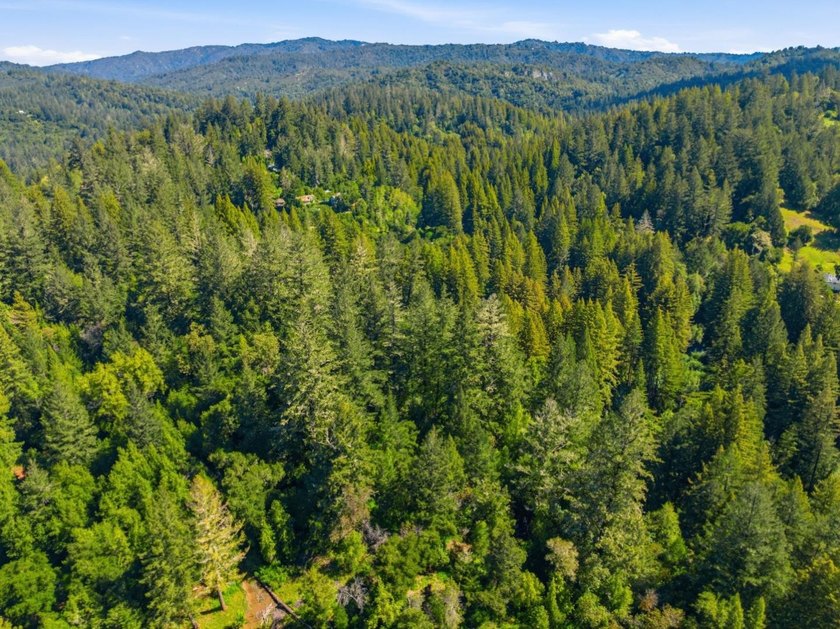 Tucked away in the peaceful redwoods of Boulder Creek, 360 - photo 46