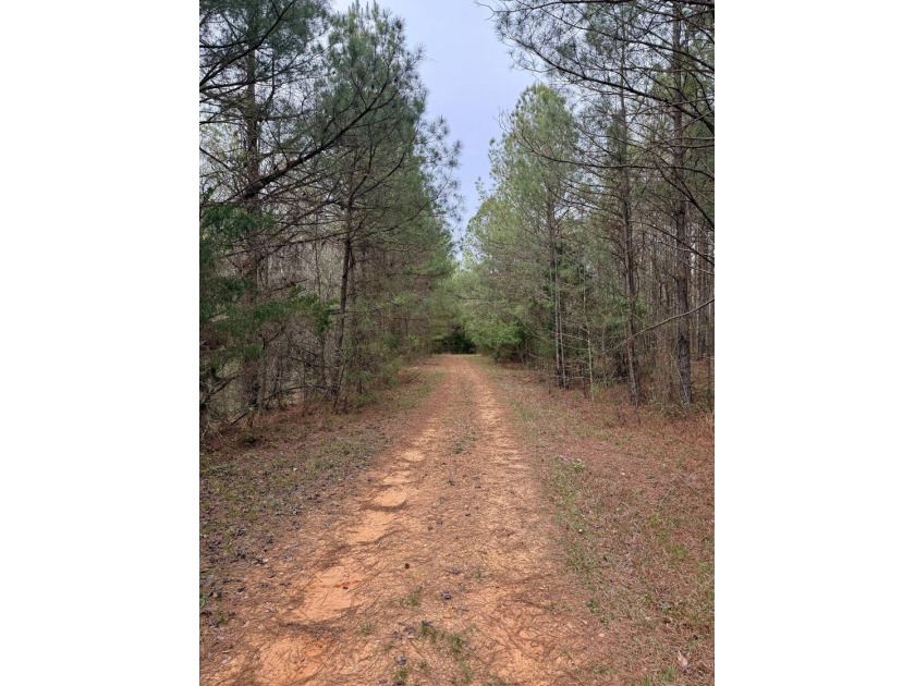 Located in Kemper County, Mississippi, this 42.5+/- acre tract - photo 14