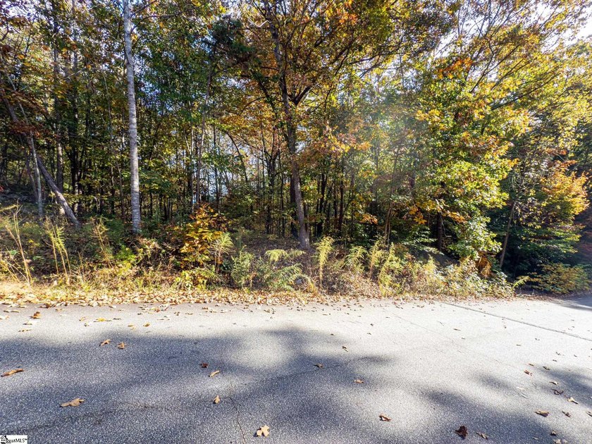 Create your dream lake lifestyle on this beautiful .92-acre lot - photo 5