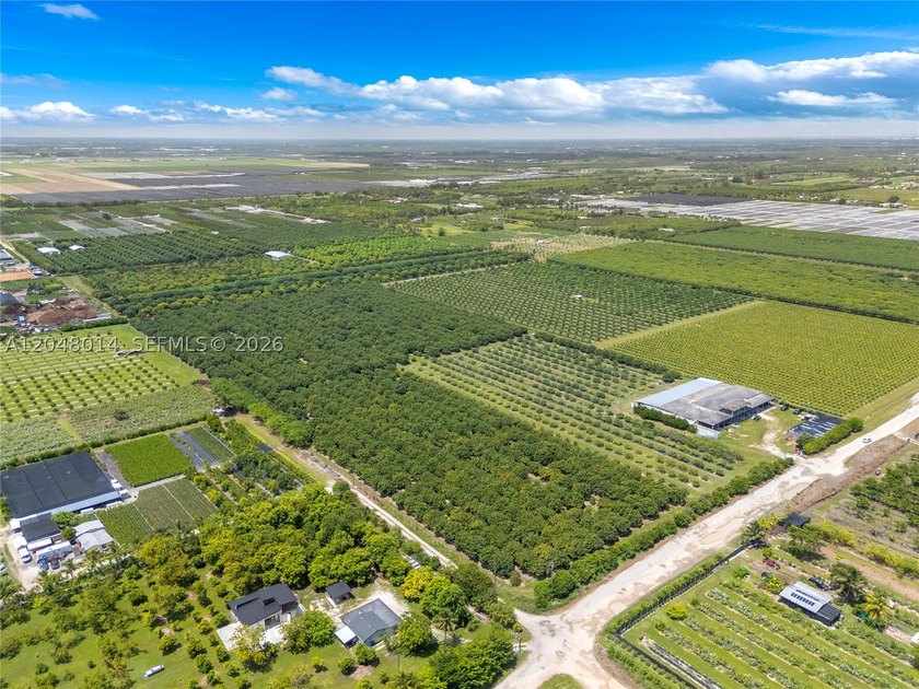 15-Acre Mature Longan Grove In The Heart of Homestead's - photo 2