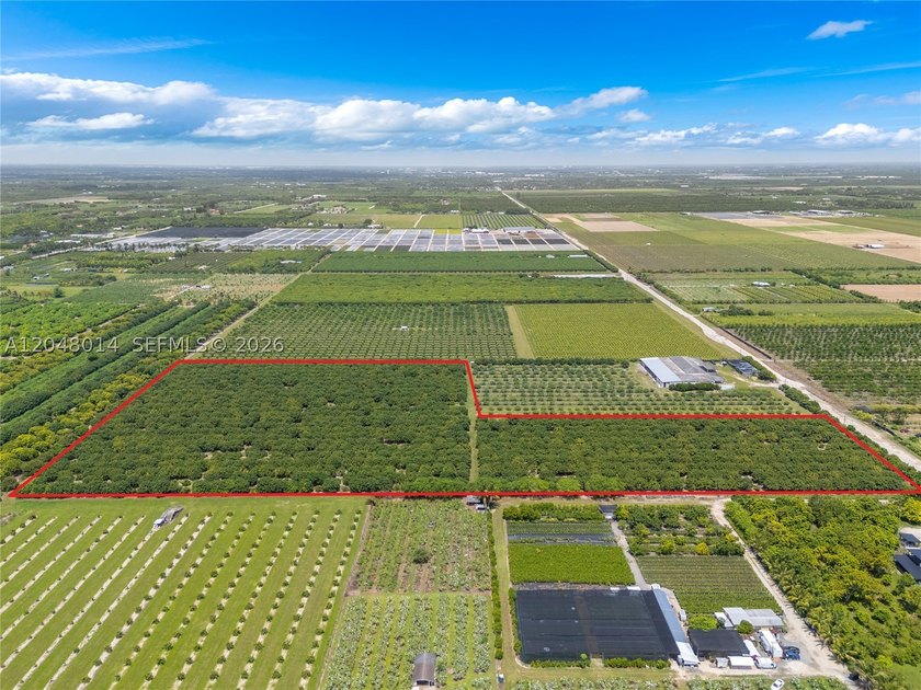 15-Acre Mature Longan Grove In The Heart of Homestead's - photo 3
