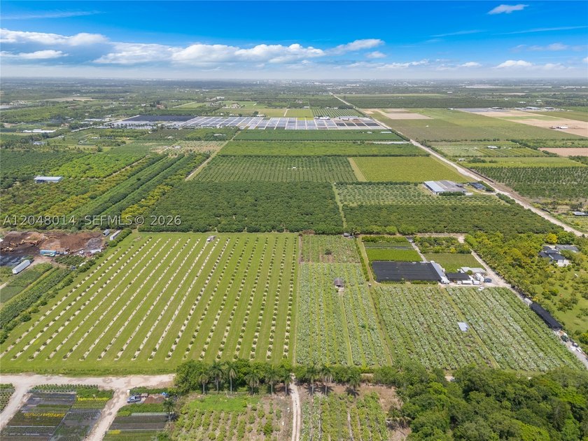 15-Acre Mature Longan Grove In The Heart of Homestead's - photo 4