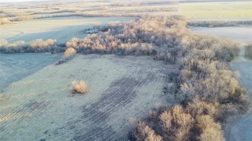 Highlights: -33.8 Acres (Surveyed Within The Last 30 Days) - photo 11