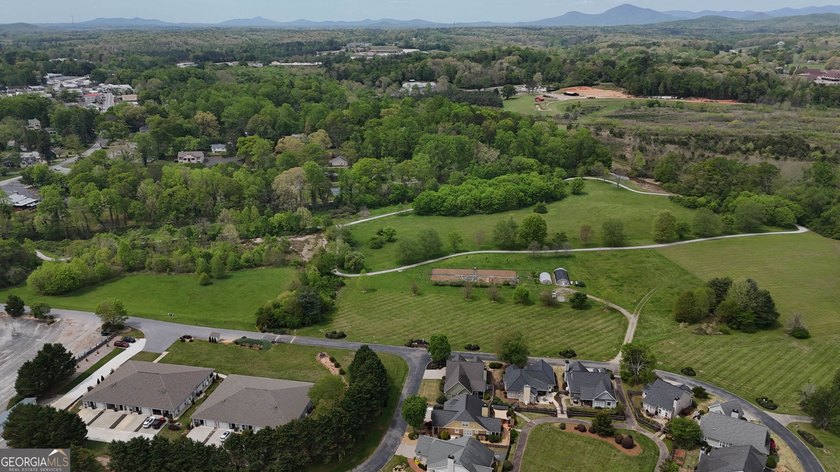 Welcome home to this amazing townhouse inside the city limits of - photo 48
