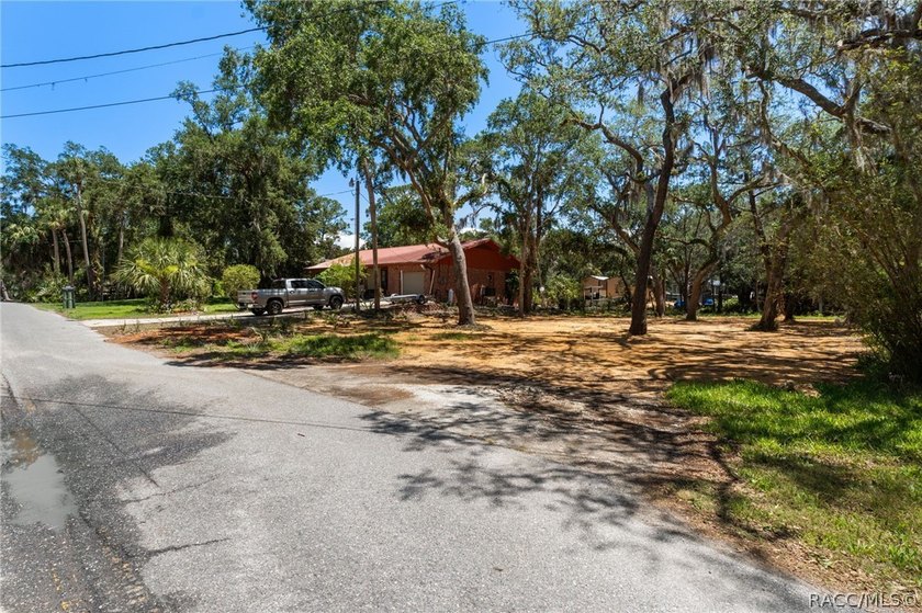 Own your own piece of paradise in Old Homosassa! This ideal - photo 11