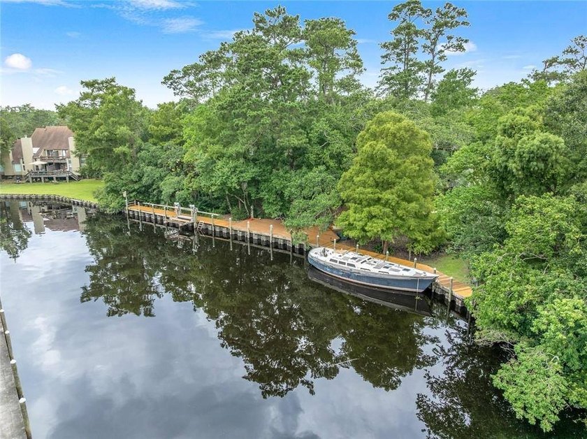 Experience nature up close on Bayou Bonfouca! Three - photo 32