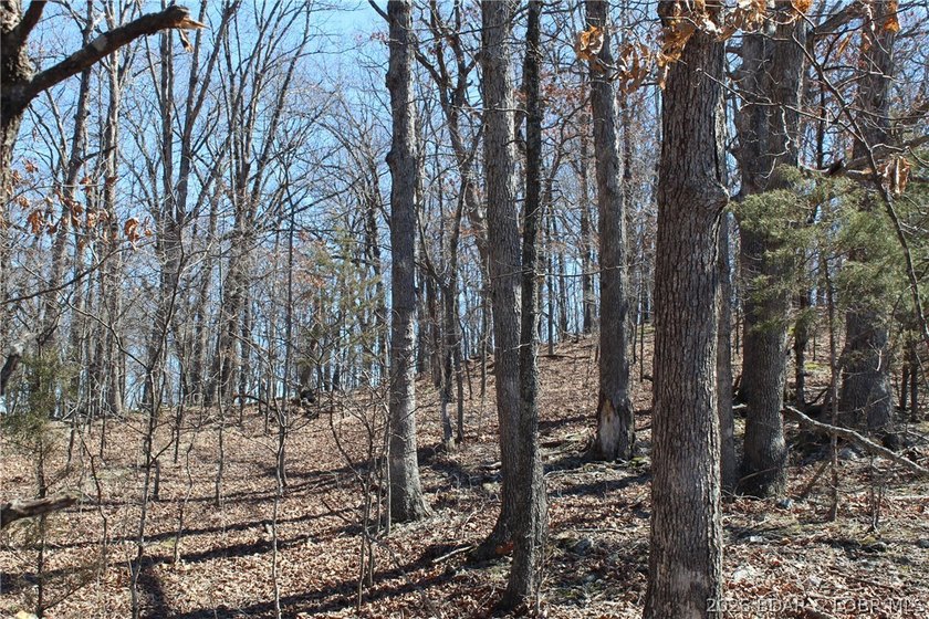Hard-to-find 5-acre wooded tract with F Highway frontage in the - photo 11