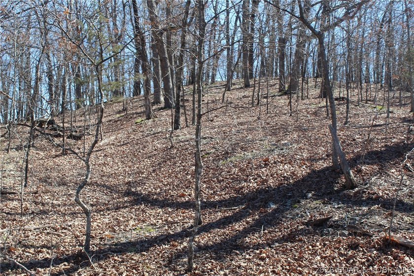 Hard-to-find 5-acre wooded tract with F Highway frontage in the - photo 12