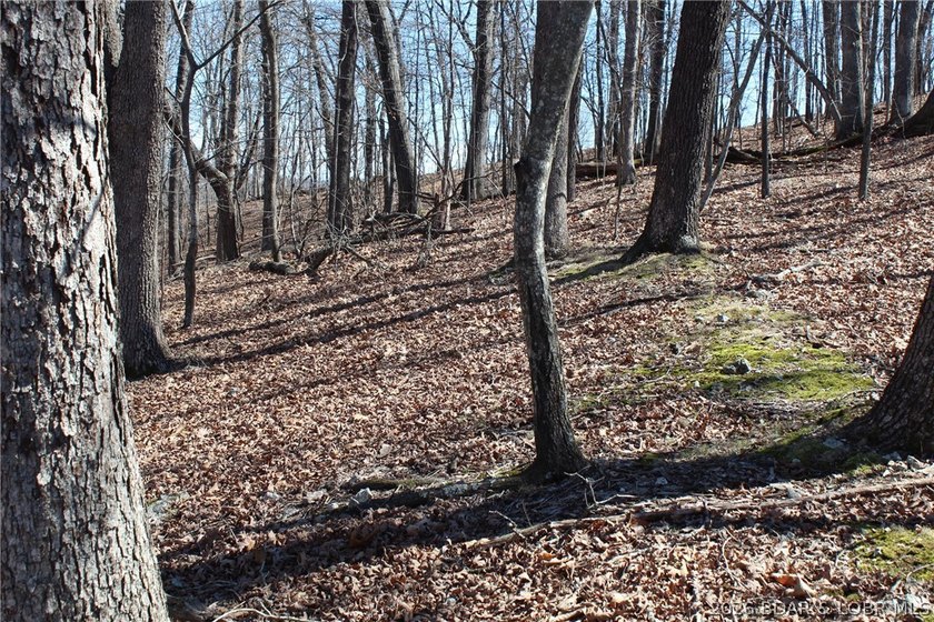 Hard-to-find 5-acre wooded tract with F Highway frontage in the - photo 13