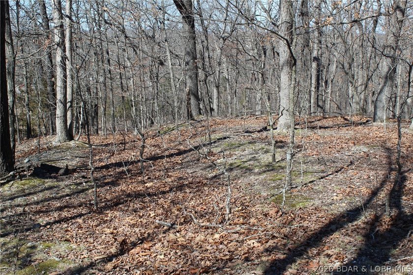 Hard-to-find 5-acre wooded tract with F Highway frontage in the - photo 16